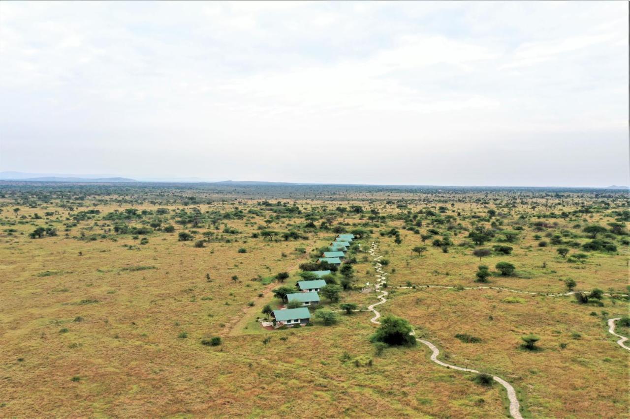 Africa Safari Serengeti Ikoma 외부 사진