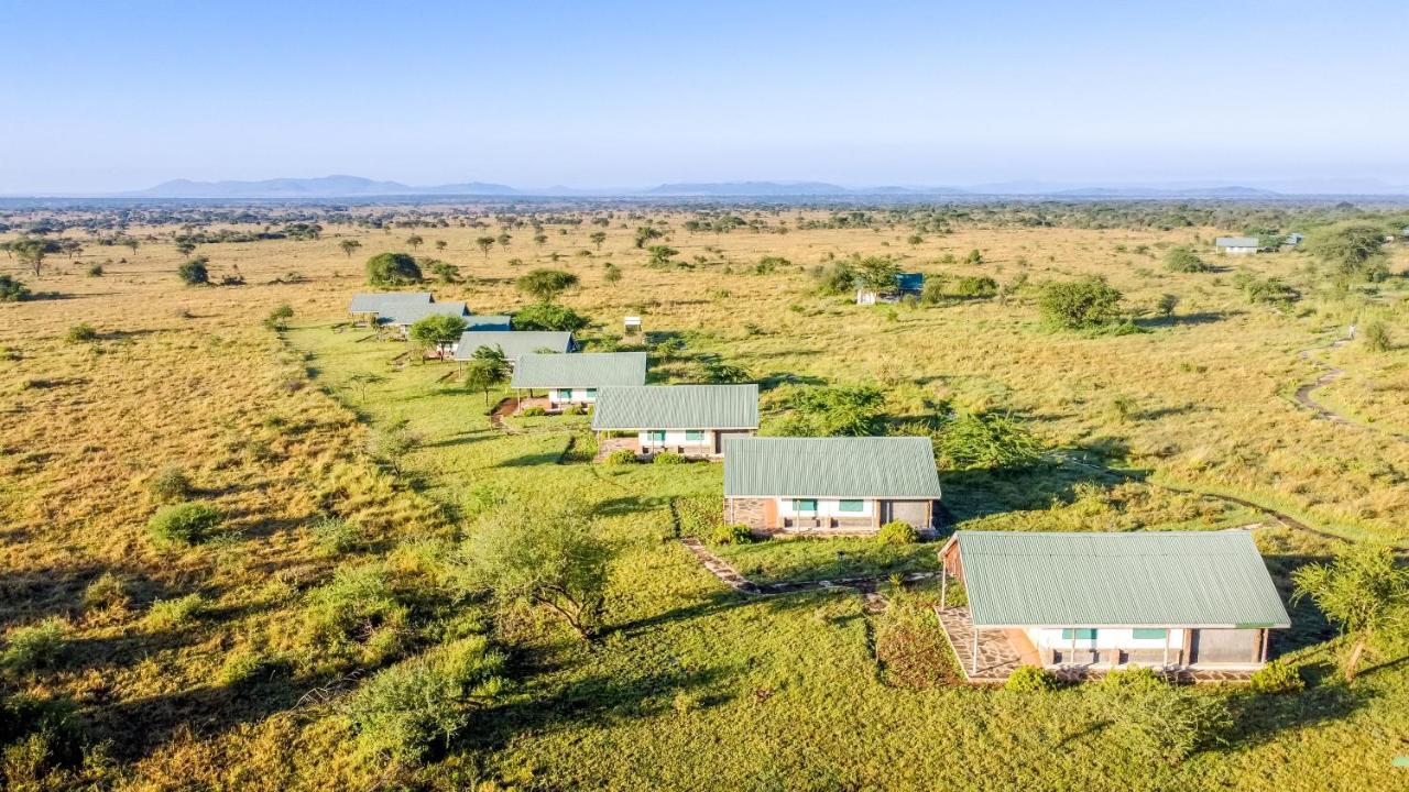 Africa Safari Serengeti Ikoma 외부 사진