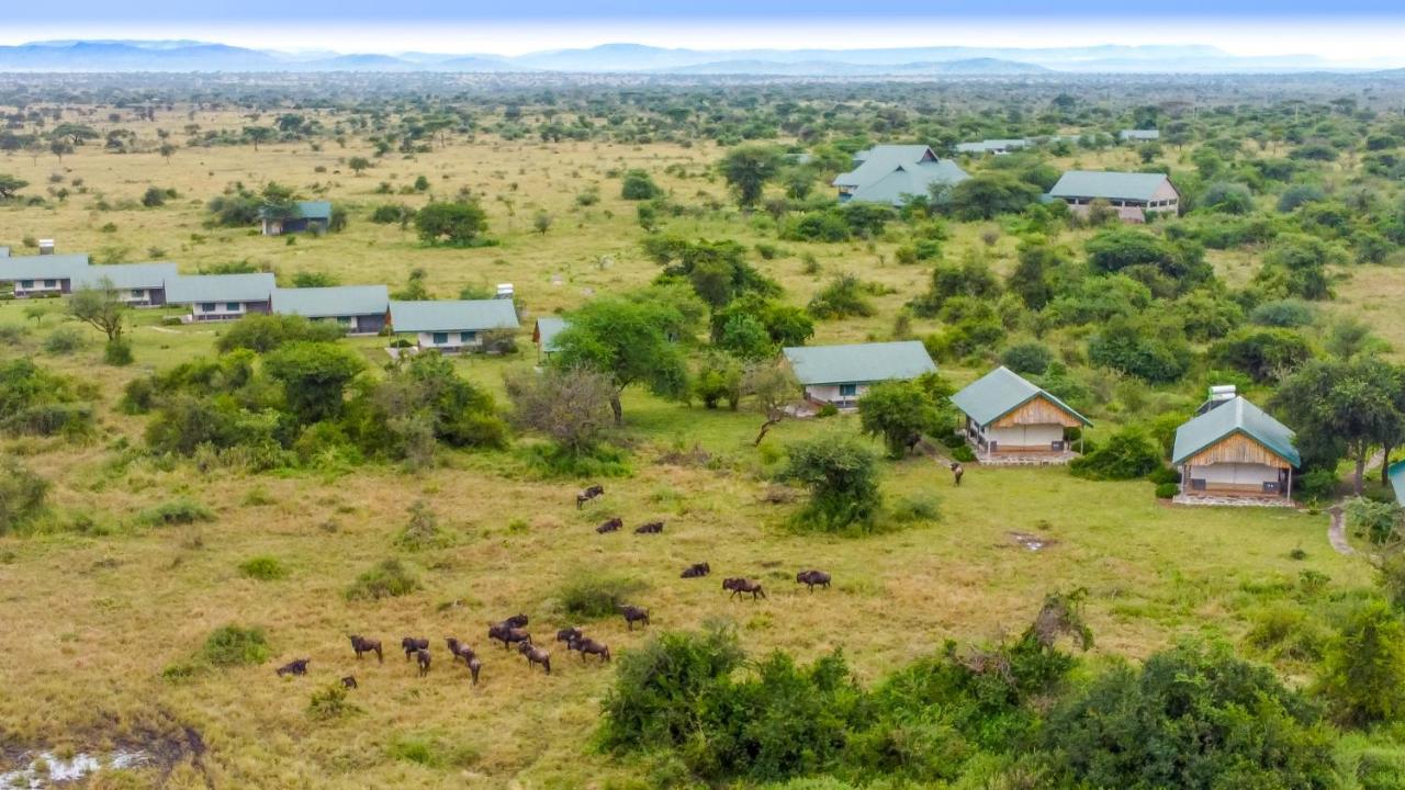 Africa Safari Serengeti Ikoma 외부 사진