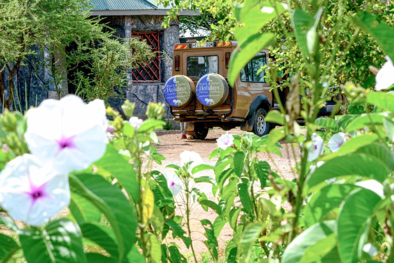 Africa Safari Serengeti Ikoma 외부 사진